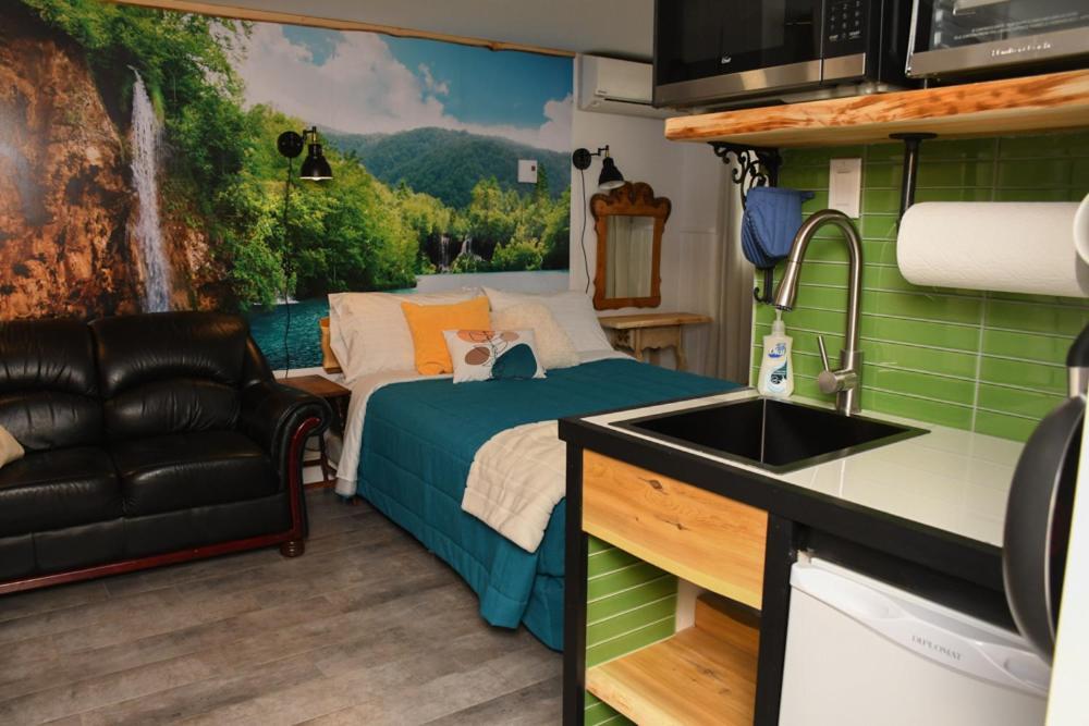 Bed and Breakfast Gite Grand Moment Cabano Zewnętrze zdjęcie